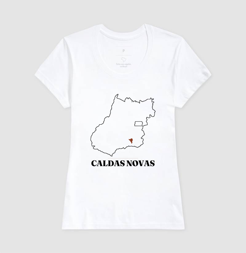 Caldas Novas | Traço GO - Imagem 5