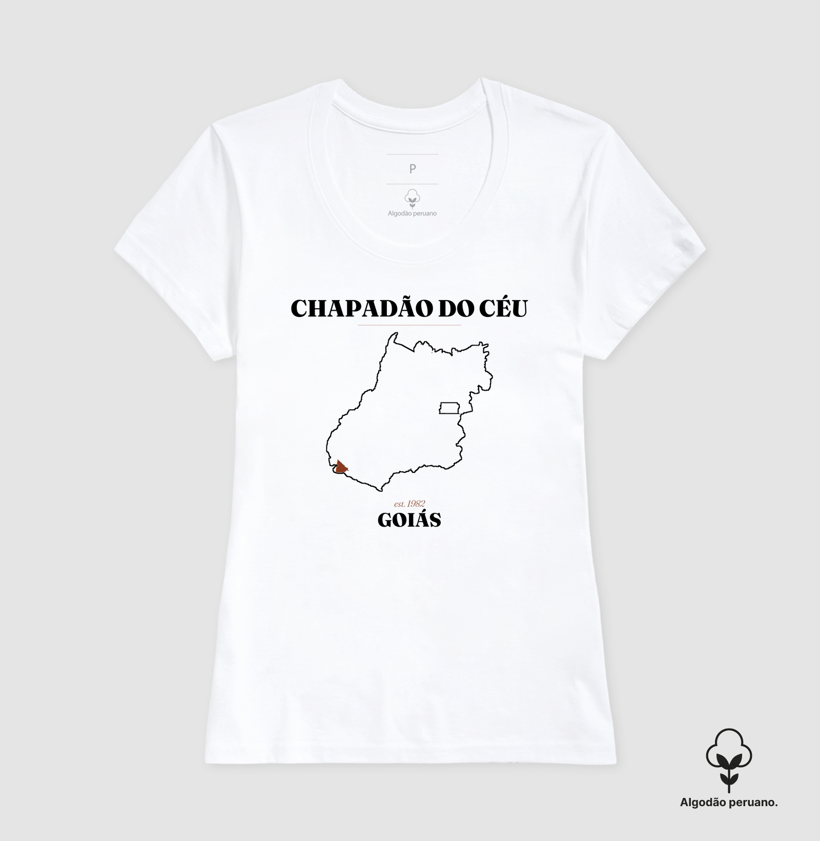 Chapadão do Céu | Legado GO - Imagem 5