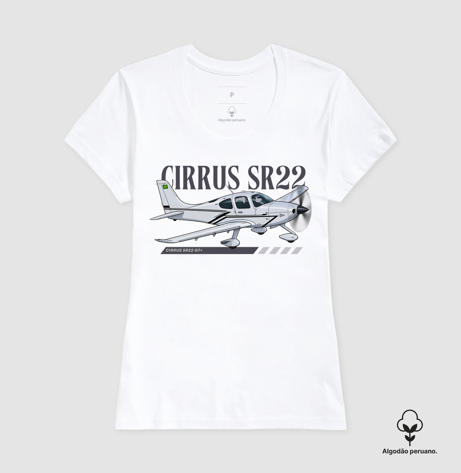 Cirrus SR22 G7+ - Imagem 6