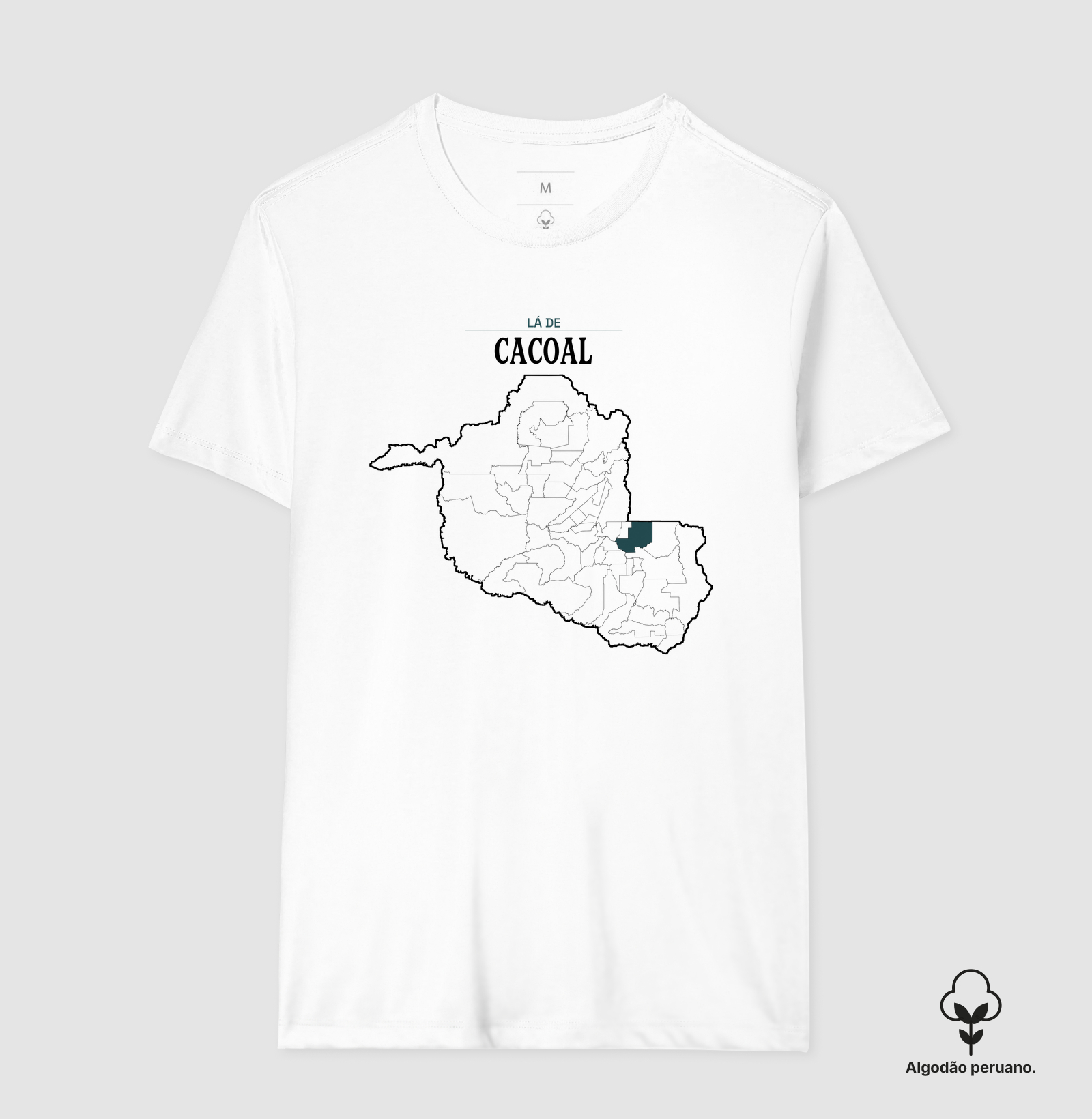 Cacoal | Território RO - Imagem 2