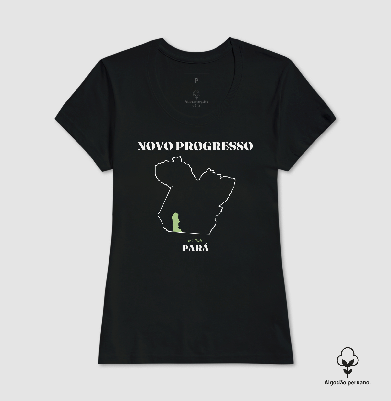 Novo Progresso | Legado PA - Imagem 5