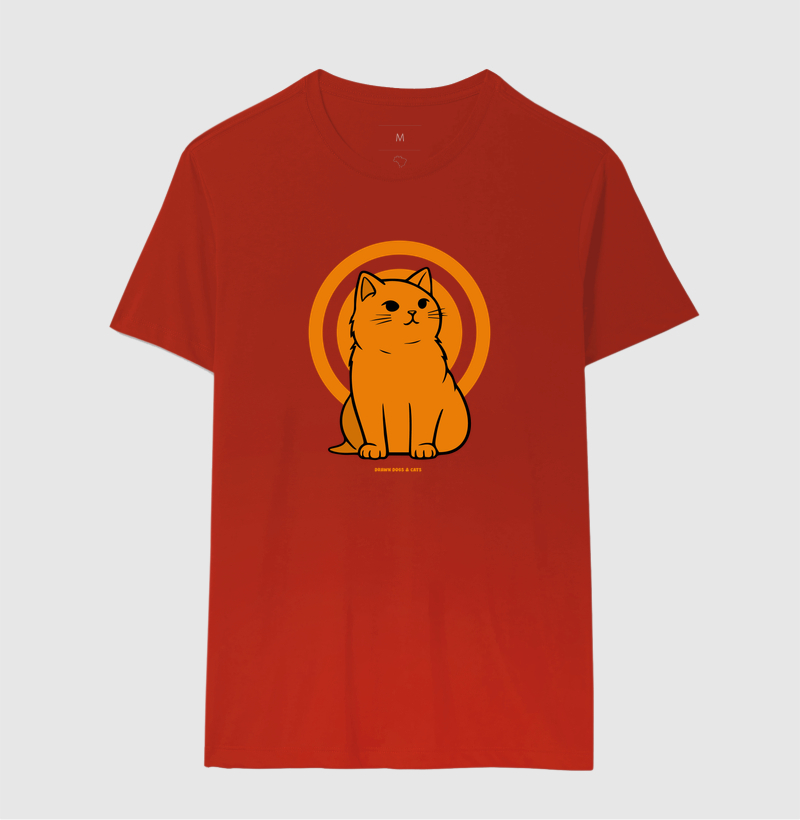 Gato laranja - Imagem 9