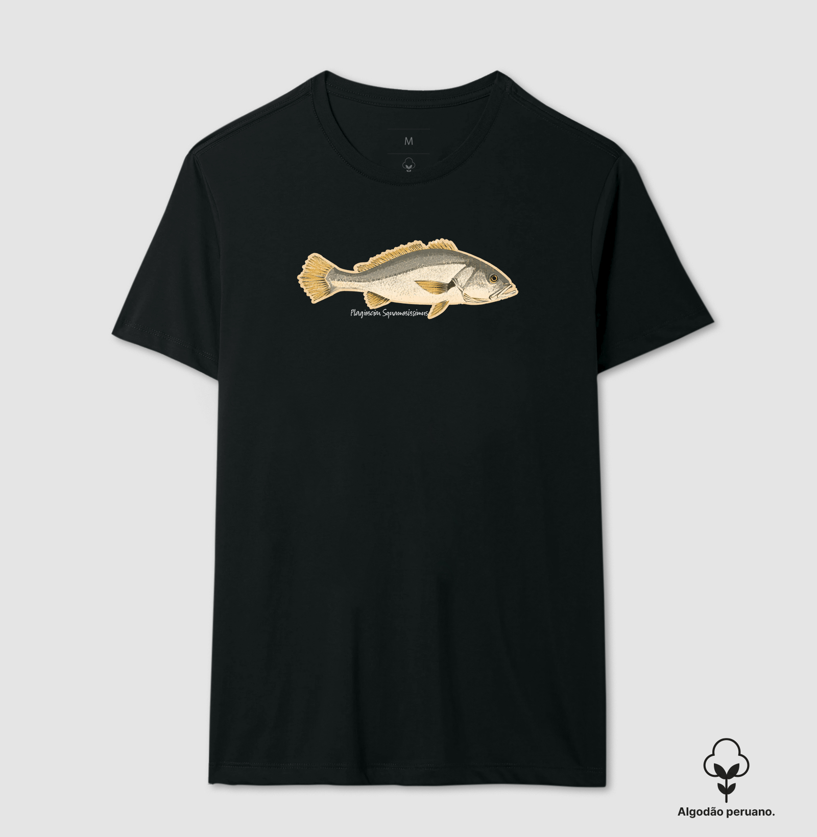 🎣 Corvina 🐟 - Imagem 2