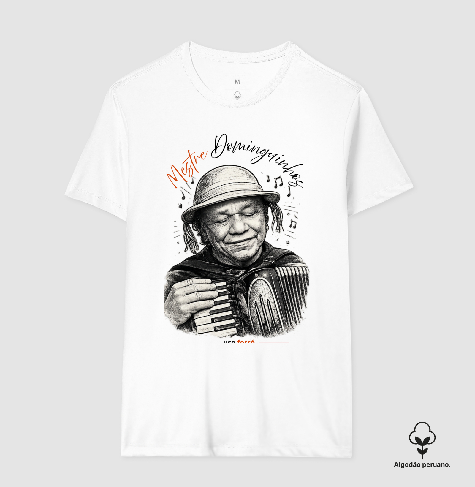 Mestre Dominguinhos - Imagem 2