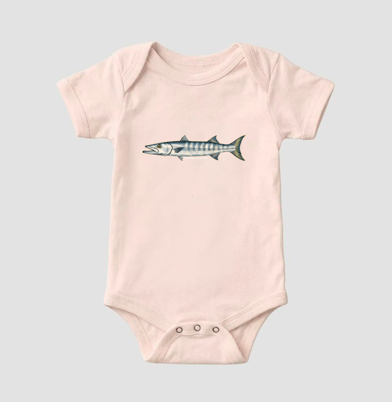 Barracuda - Imagem 5