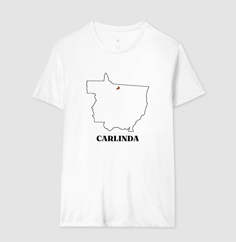 Carlinda | Traço MT - Imagem 4