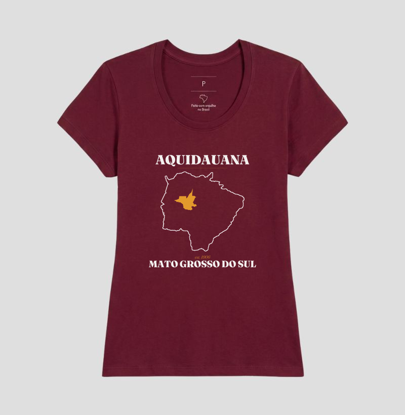 Aquidauana | Legado MS - Imagem 19
