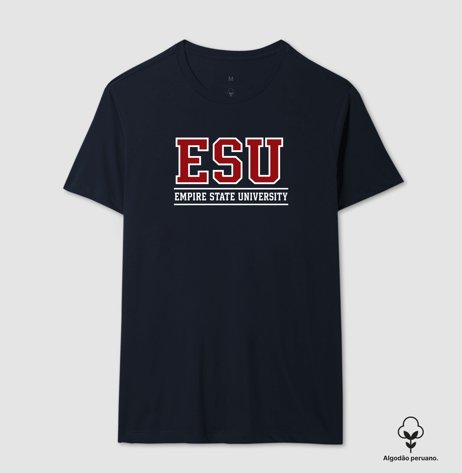 Empire State University - Imagem 5