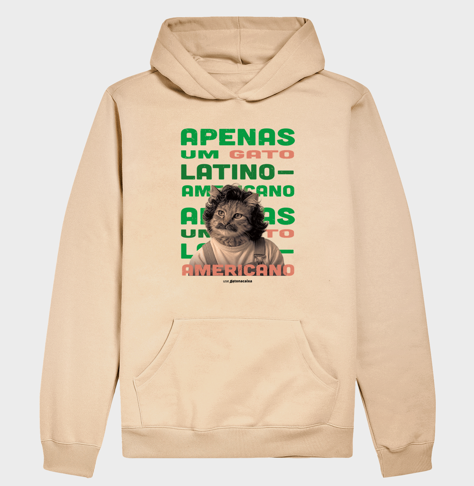Apenas um gato latino-americano - Imagem 5