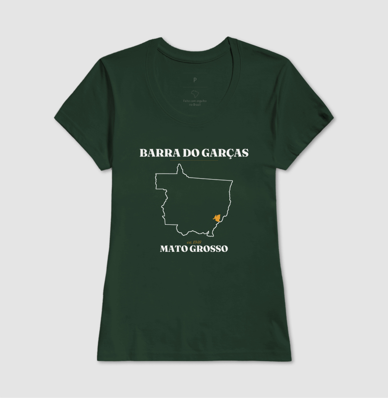 Barra do Garças | Legado MT - Imagem 13
