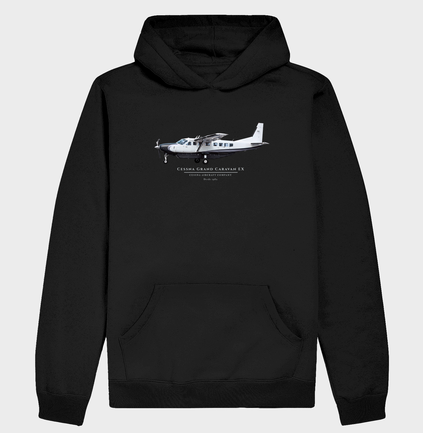 Cessna Grand Caravan EX - Imagem 2
