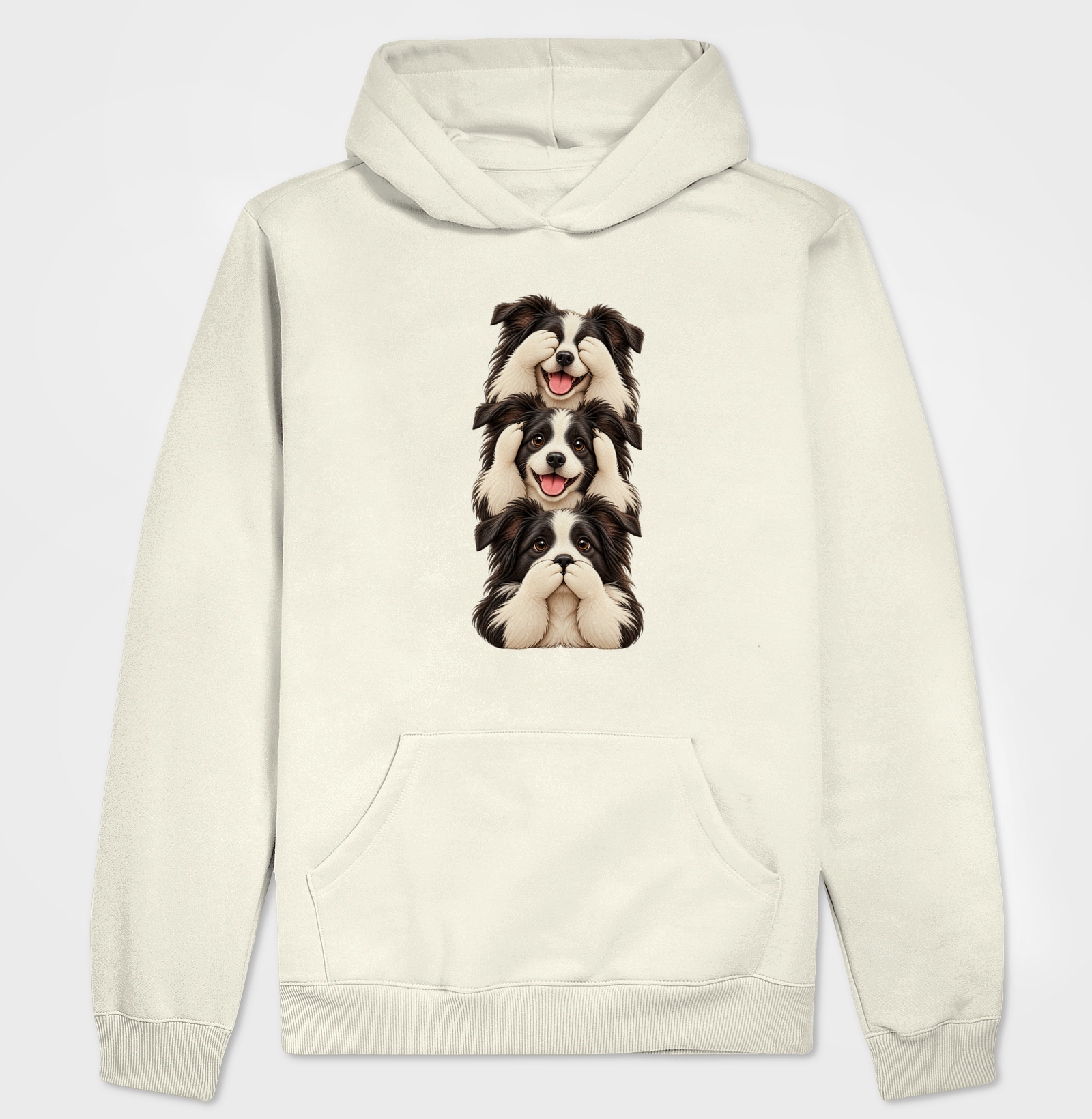 Ver, ouvir e falar Border Collie - Imagem 3