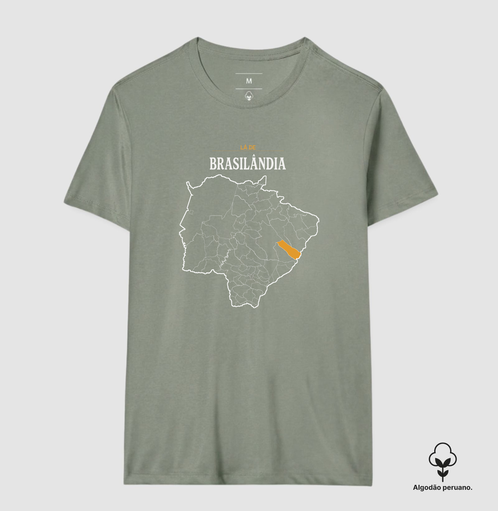Brasilândia | Território MS - Imagem 3