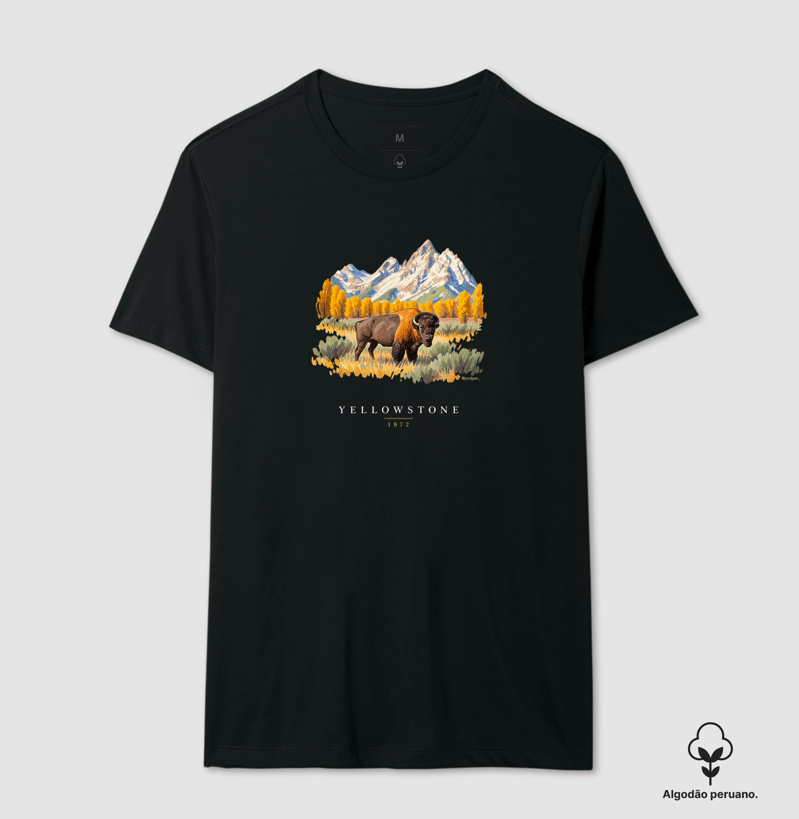 Bison - Yellowstone - Imagem 5