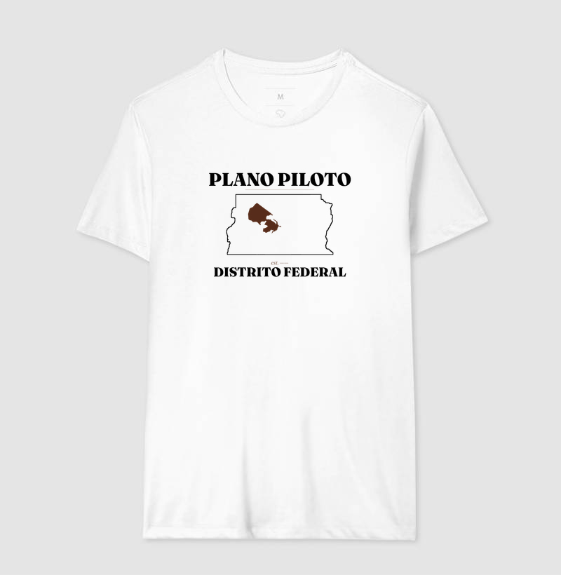 Plano Piloto | Legado DF - Imagem 4