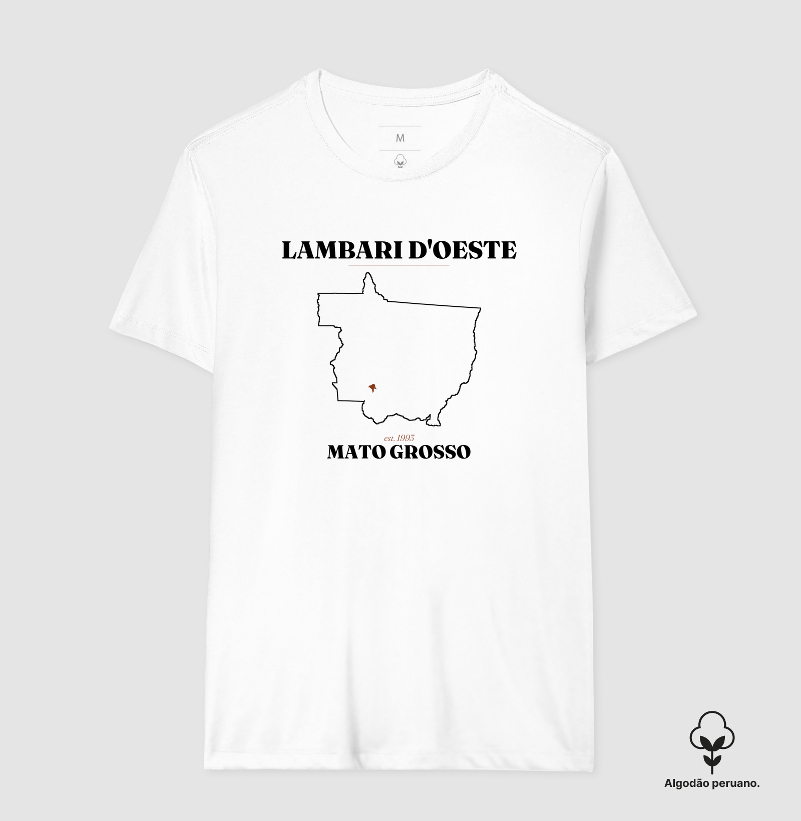 Lambari D'Oeste | Legado MT - Imagem 4