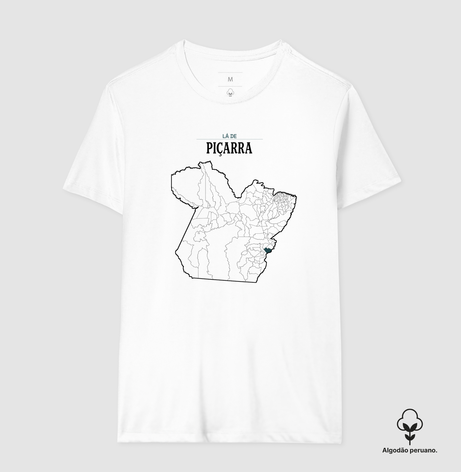 Piçarra | Território PA - Imagem 5