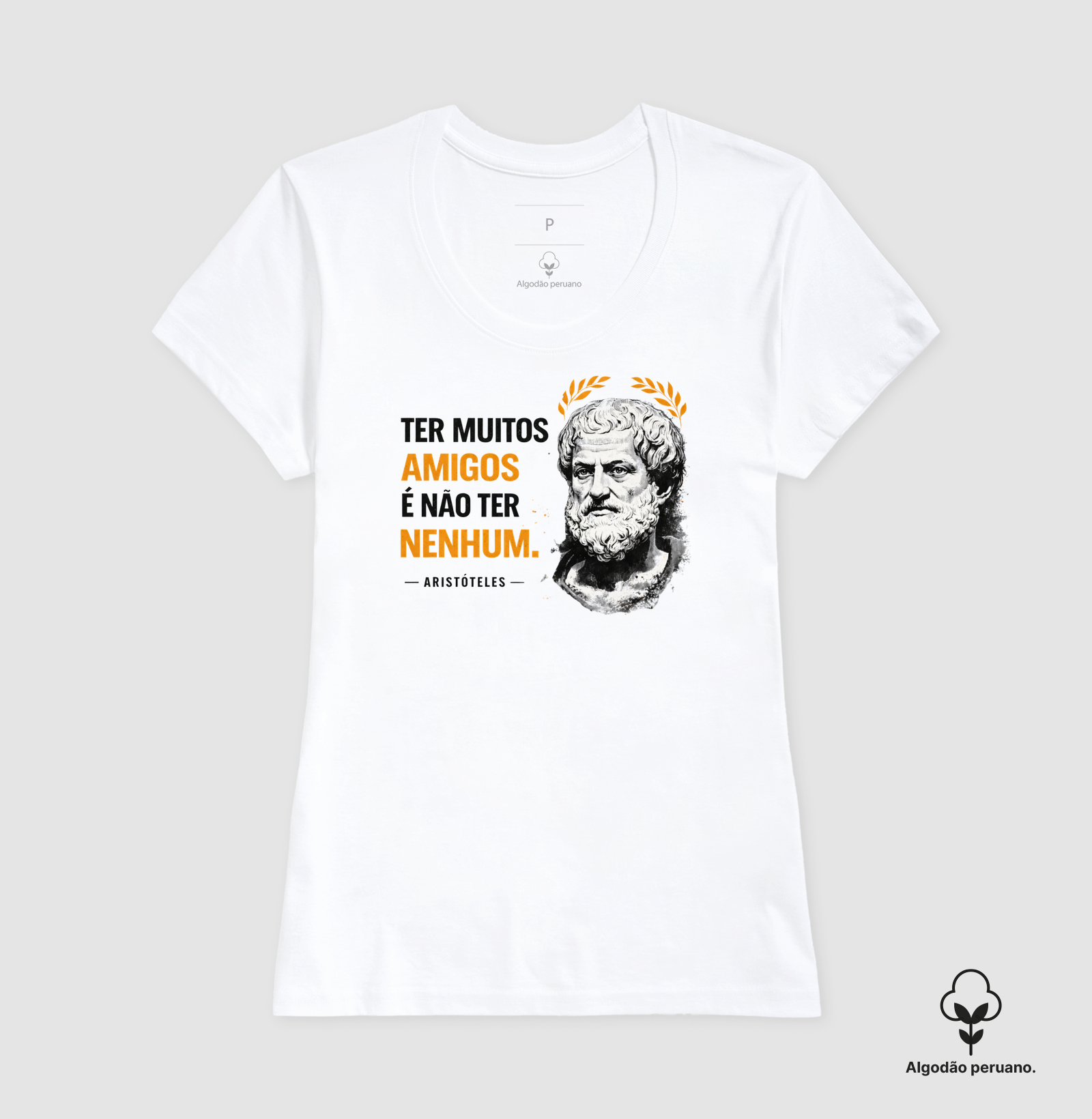 Filosofia de Aristóteles "Ter muitos amigos" - Imagem 3