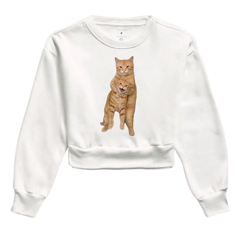 Controle Felino Laranja - Imagem 3