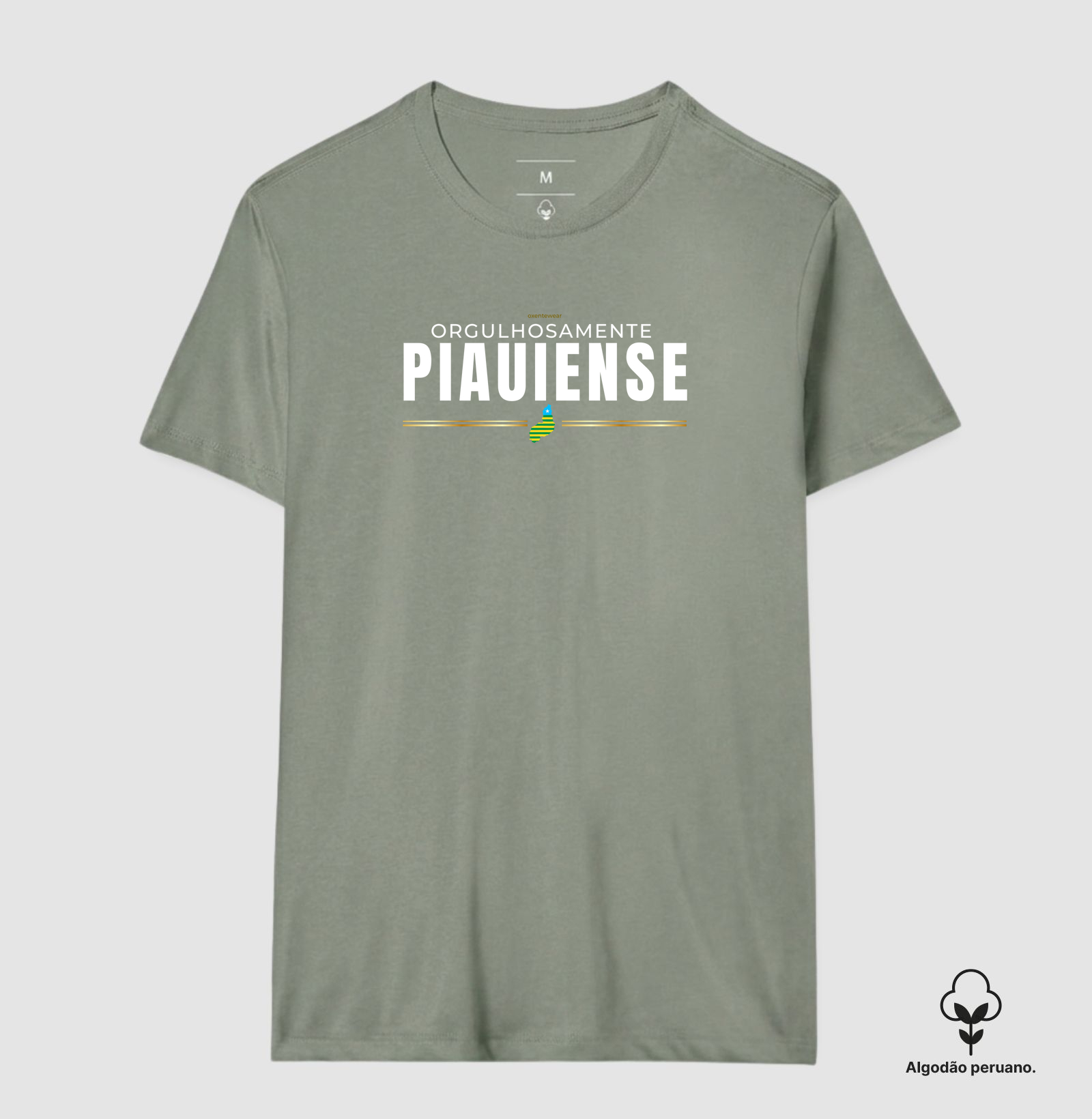 Camiseta Orgulho Piauiense | OxenteWear - Imagem 7