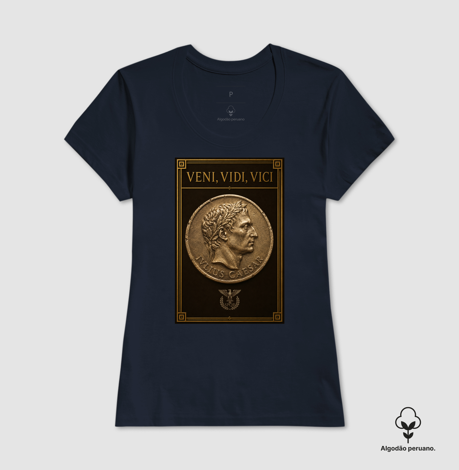 Veni, Vidi, Vici — César - Imagem 8