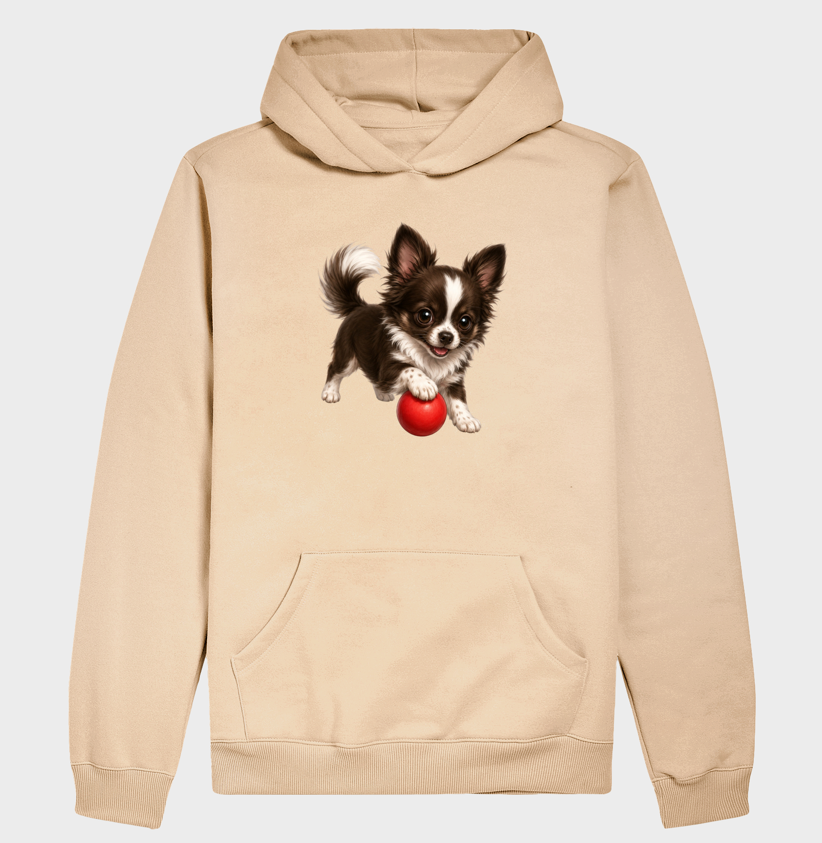 Chihuahua Pelo Longo Marrom - Desenho Animado - Imagem 5