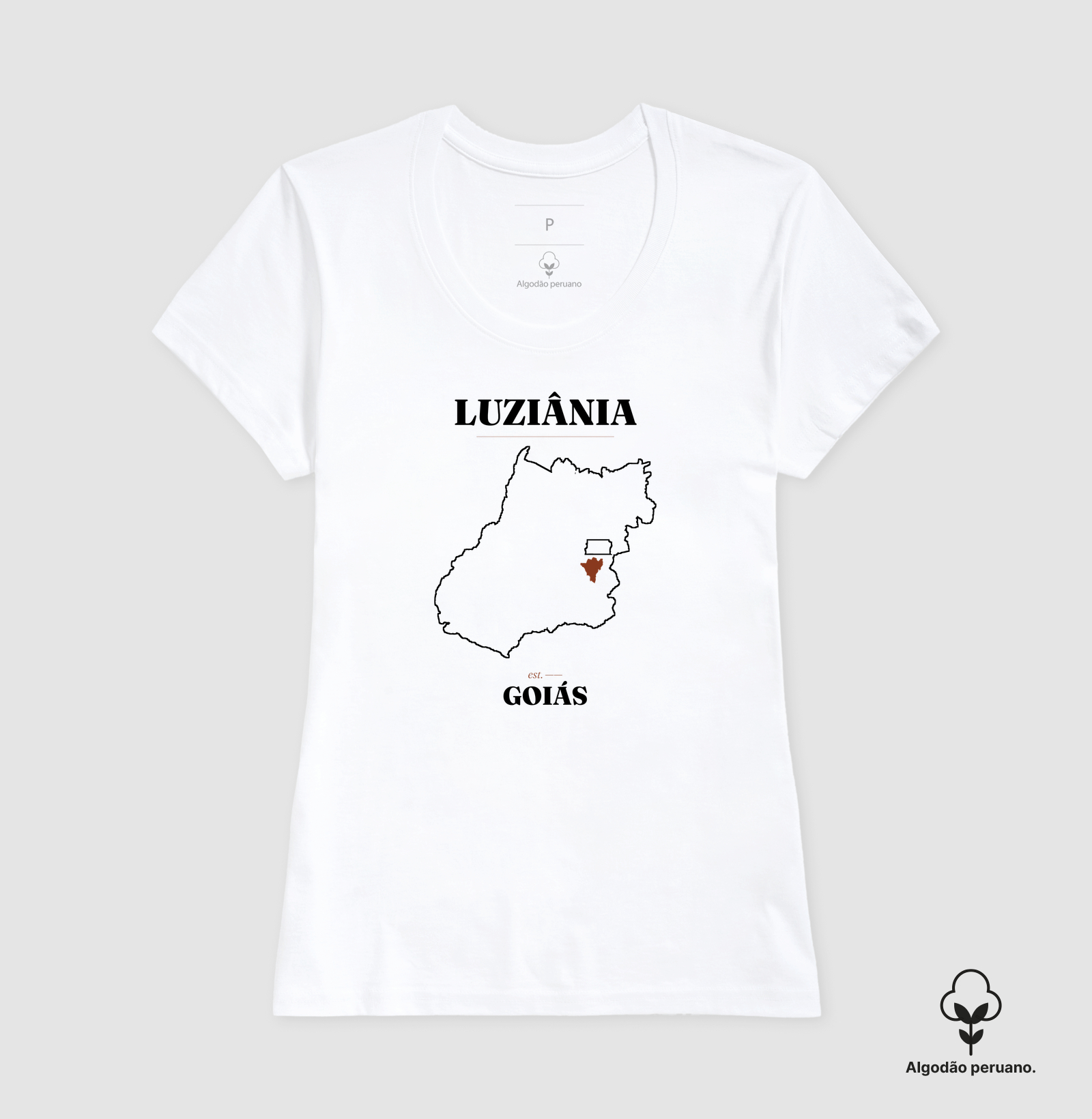Luziânia | Legado GO - Imagem 2