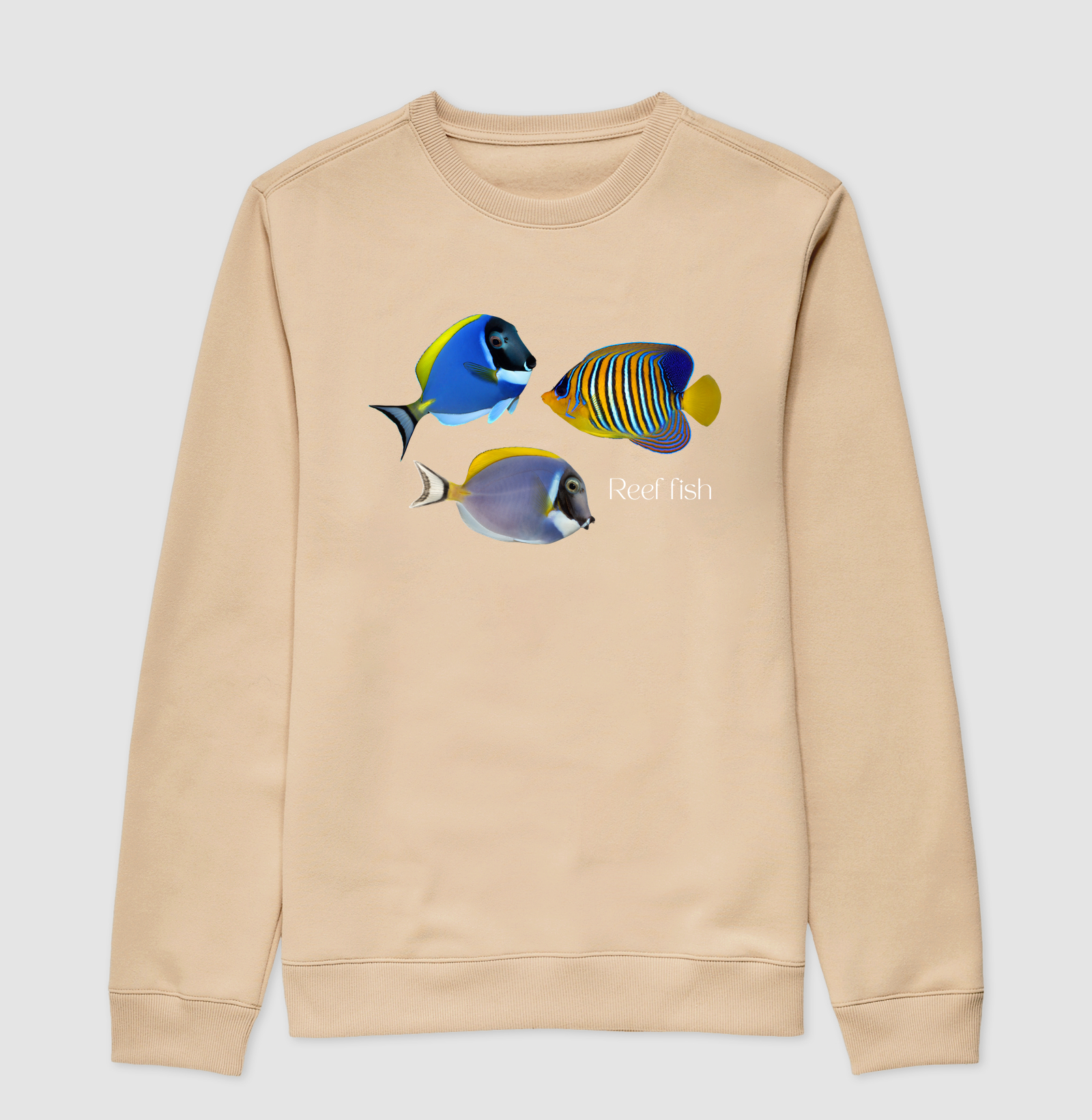 Reef Fish - Imagem 5