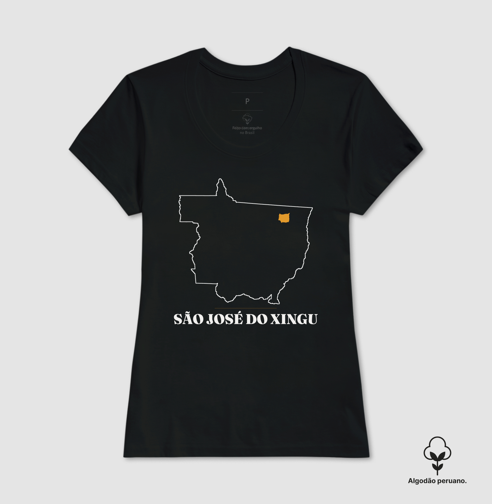 São José do Xingu | Traço MT - Imagem 3
