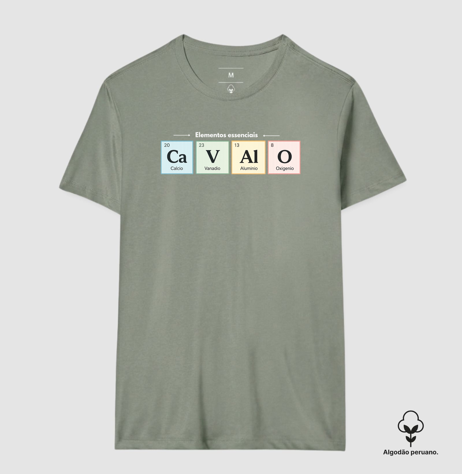 Camisa 6