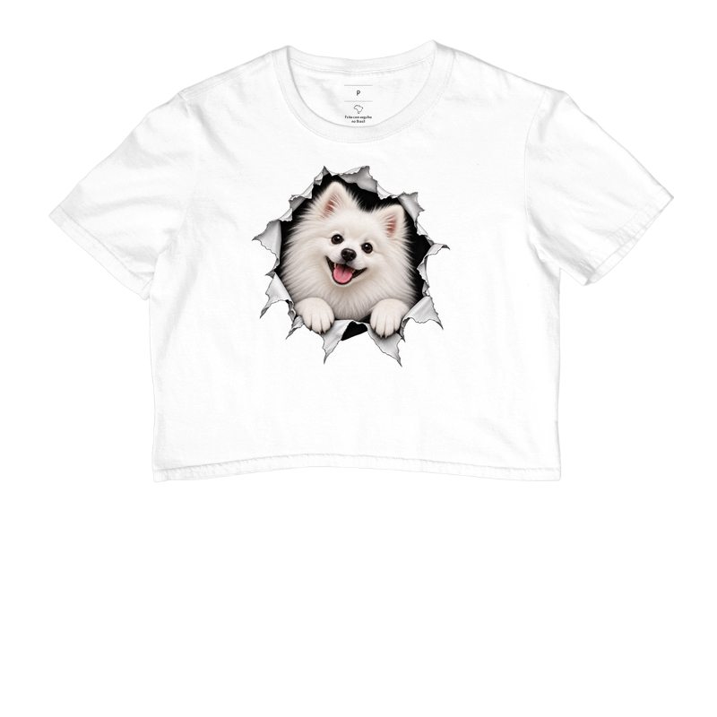 Pomerânia (Spitz Alemão) Saindo da Camisa - Imagem 3