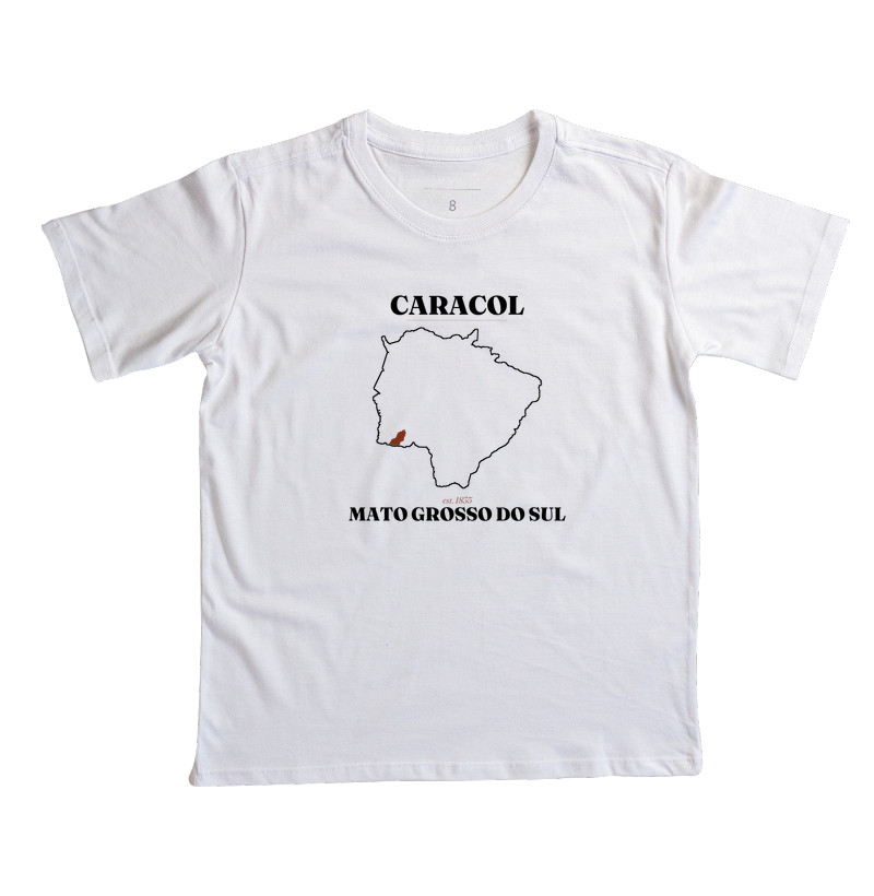 Caracol | Legado MS - Imagem 3