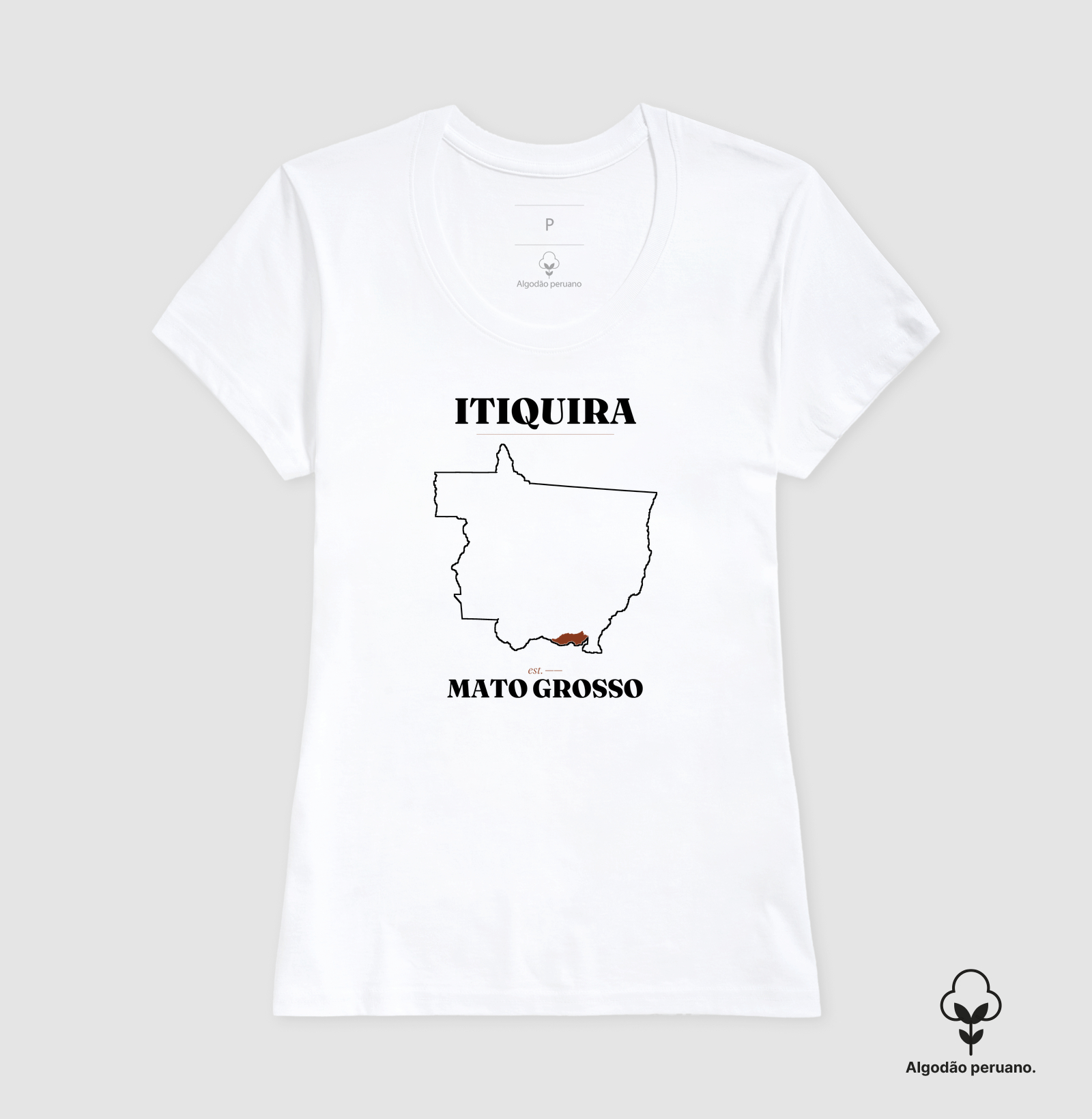 Itiquira | Legado MT - Imagem 7
