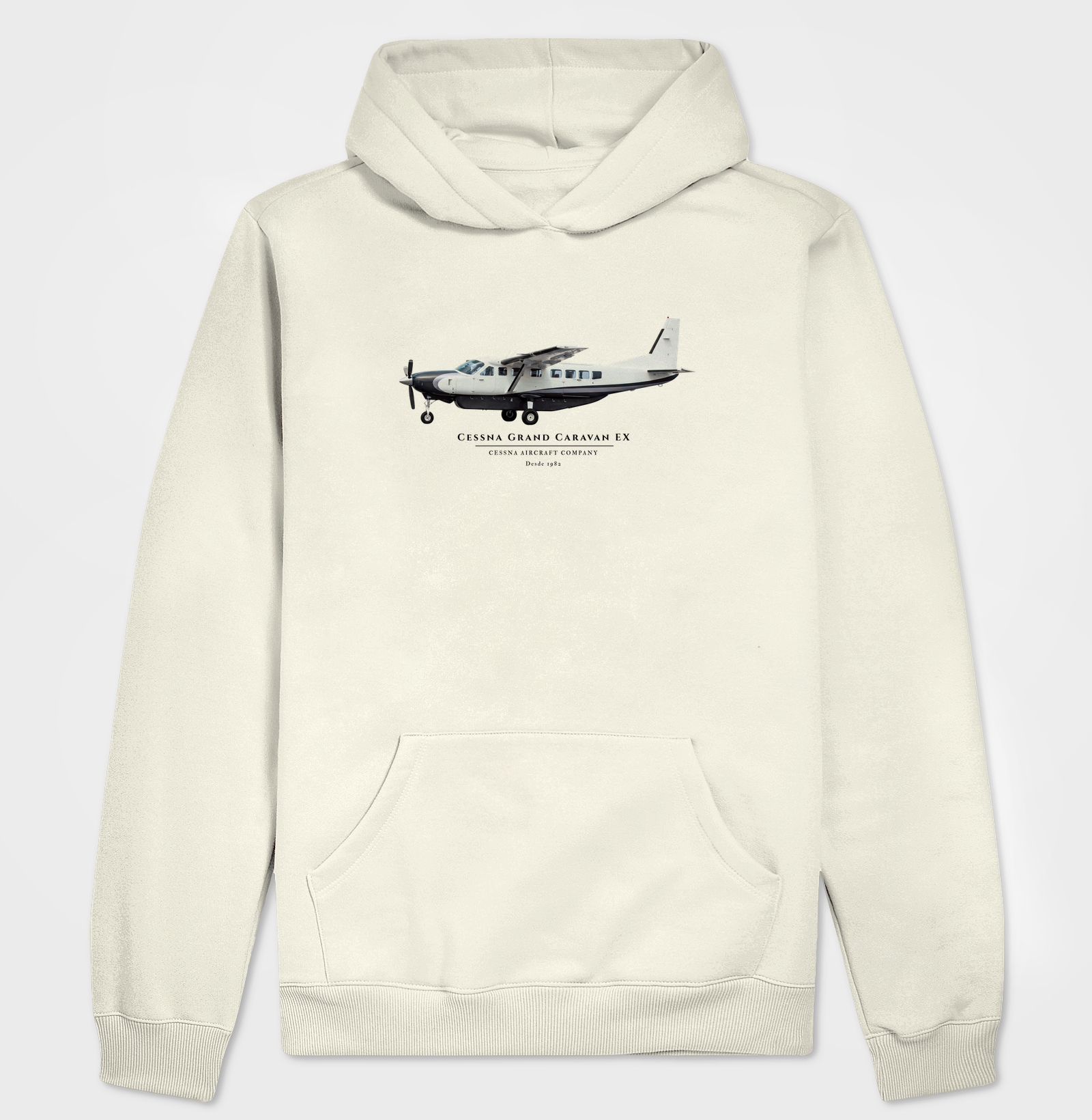 Cessna Grand Caravan EX - Imagem 3
