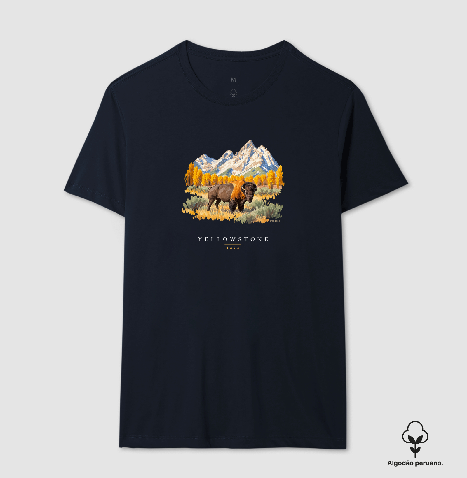Bison - Yellowstone - Imagem 9