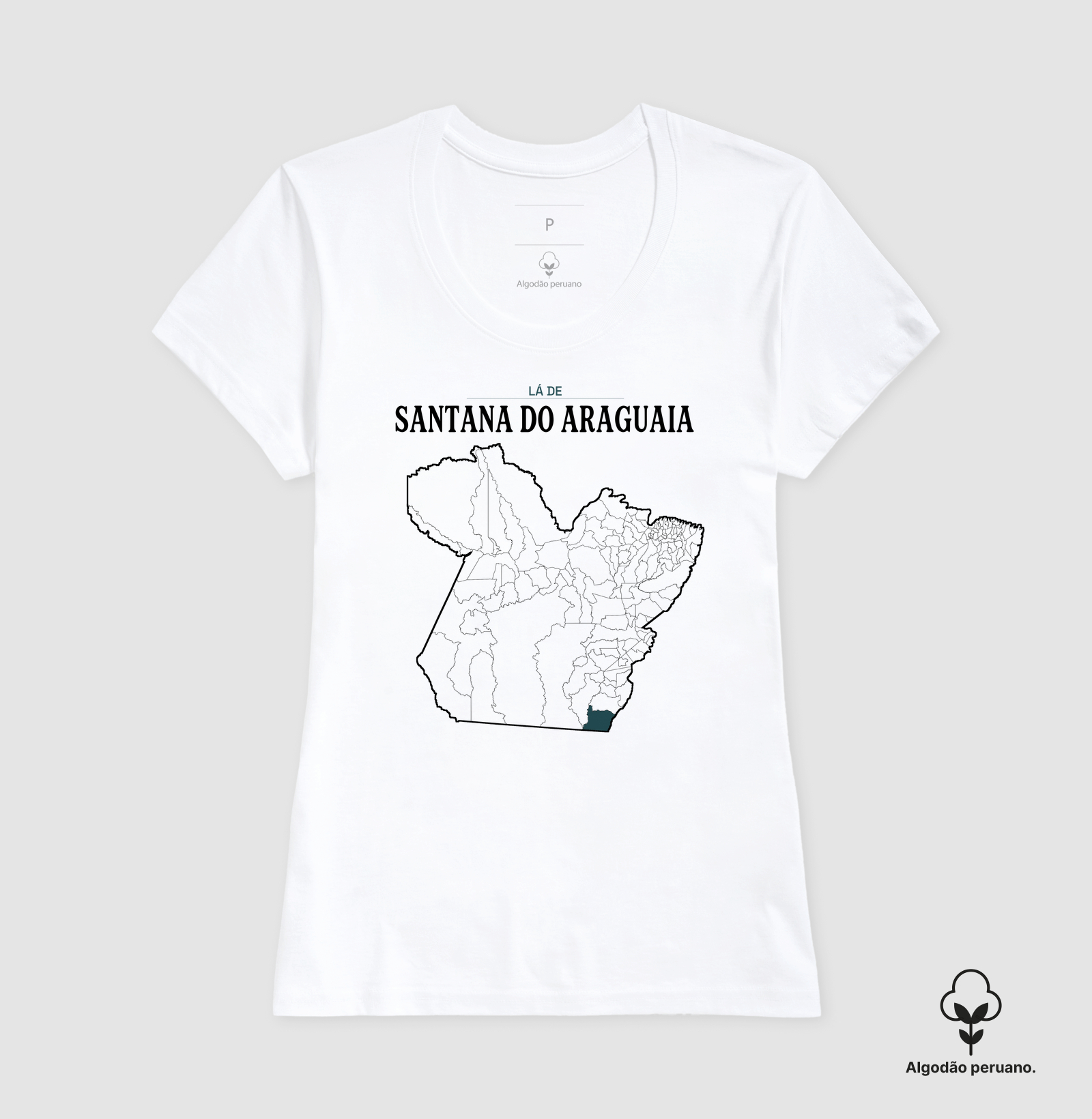 Santana do Araguaia | Território PA - Imagem 5