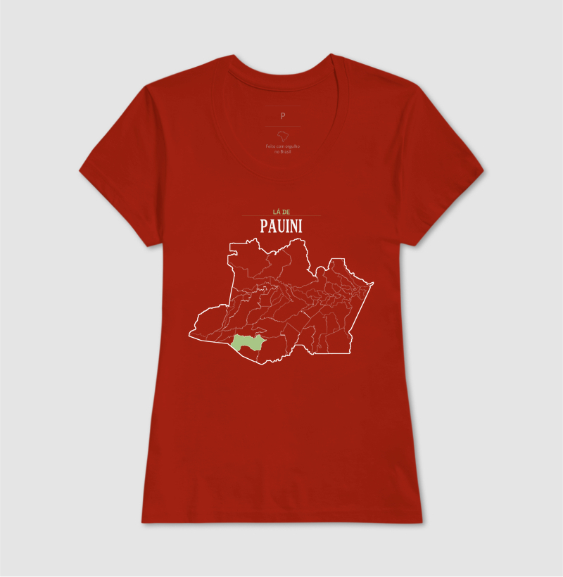 Pauini | Território AM - Imagem 11