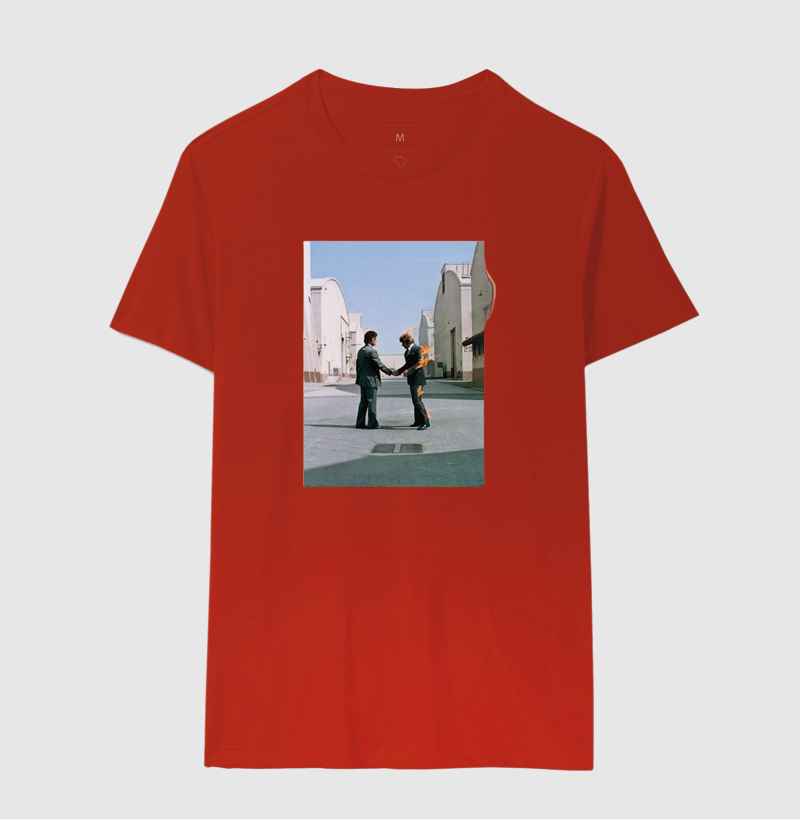 Pink Floyd - Wish You Were Here - Imagem 10