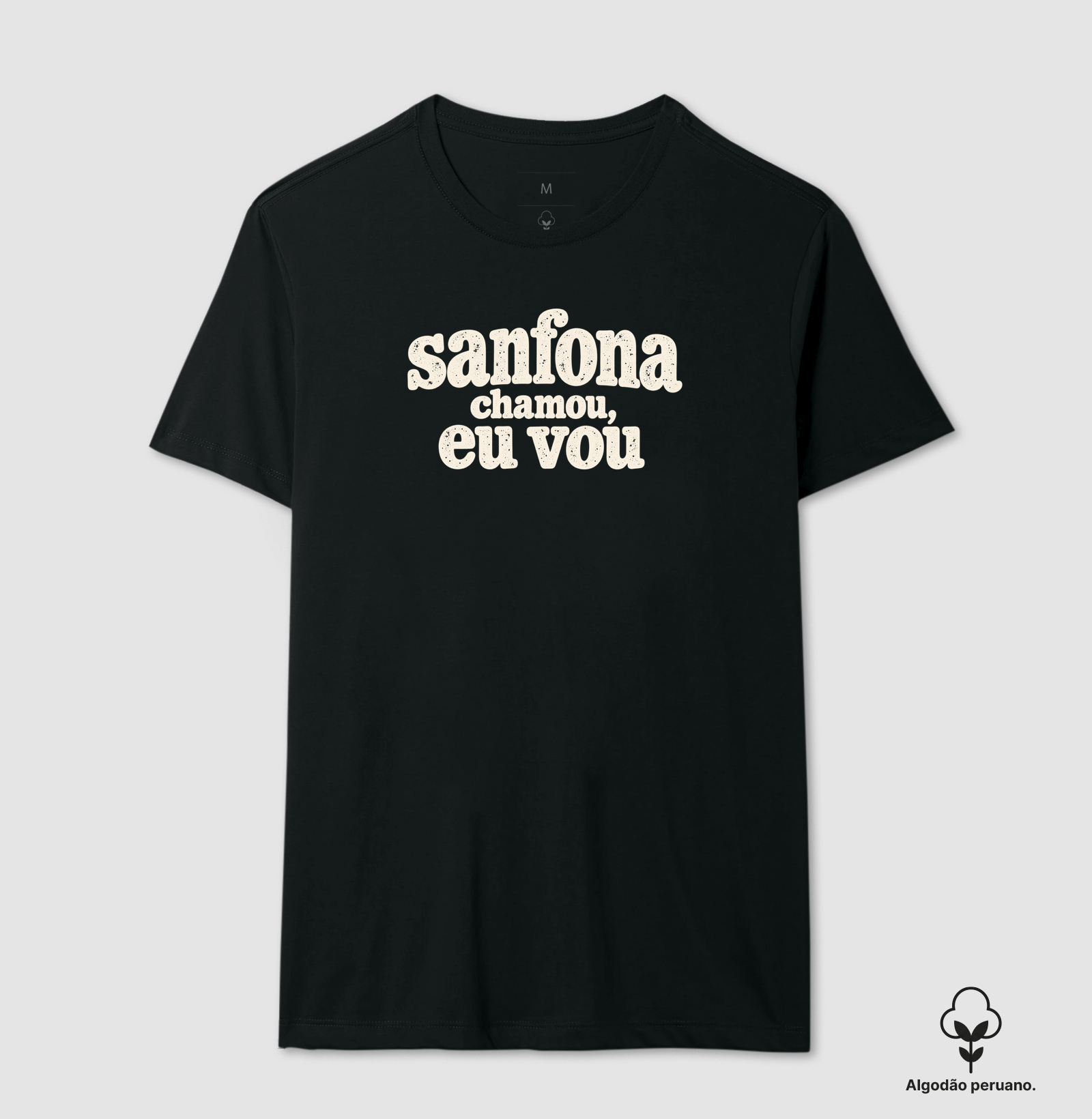 Sanfona chamou, eu vou - Imagem 6