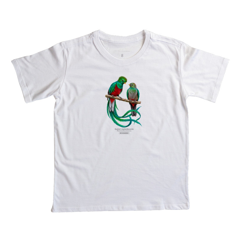 Traços Alados - Quetzal-resplandescente - Infantil - Imagem 4