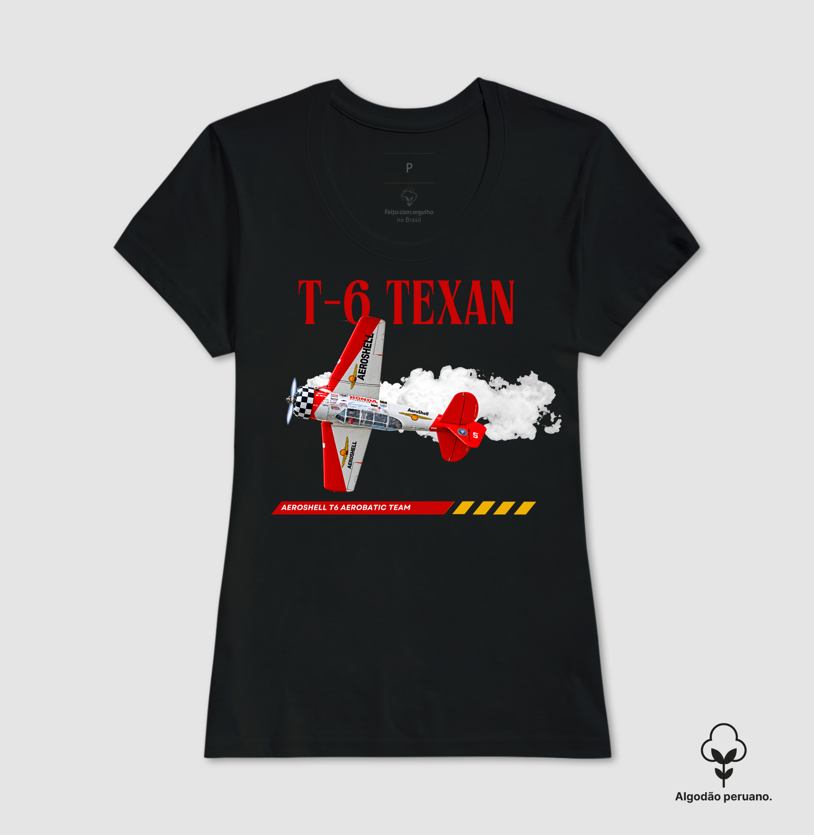 T-6 AeroShell - Imagem 9