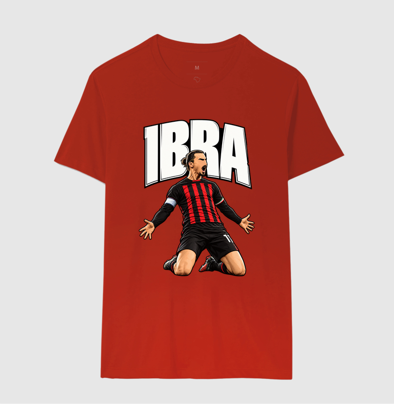 IBRA - Imagem 8