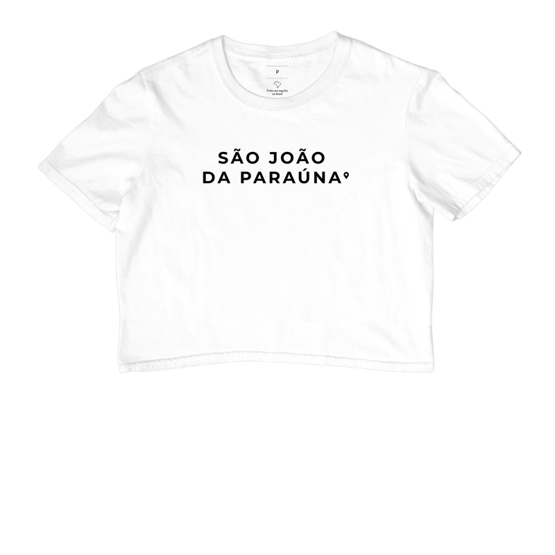 São João da Paraúna | Pin GO - Imagem 3