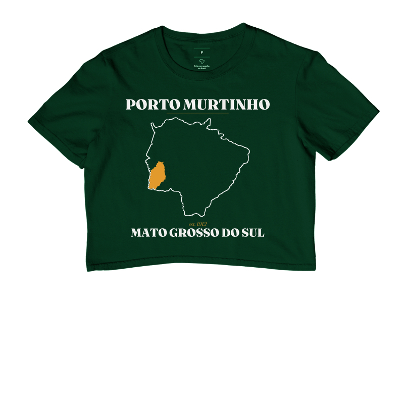 Porto Murtinho | Legado MS - Imagem 5
