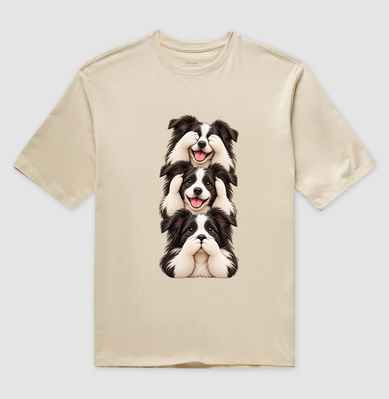 Ver, ouvir e falar Border Collie - Imagem 3
