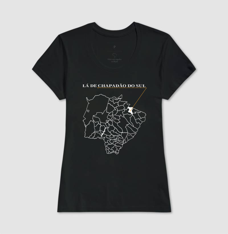 Chapadão do Sul | Origem MS - Imagem 3