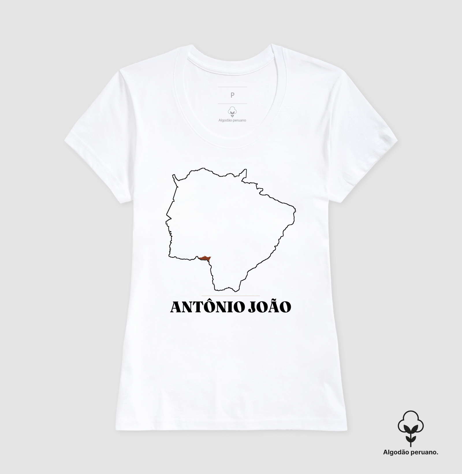 Antônio João | Traço MS - Imagem 8