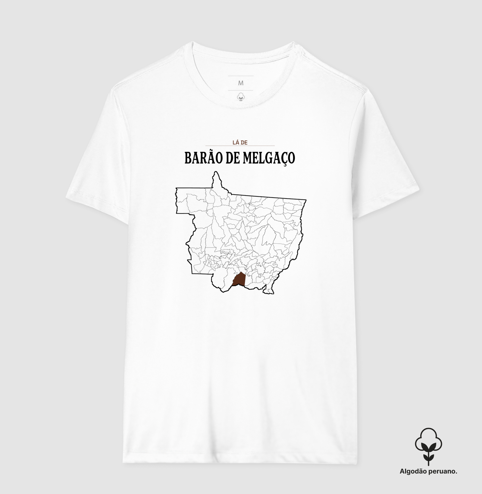 Barão de Melgaço | Território MT - Imagem 5