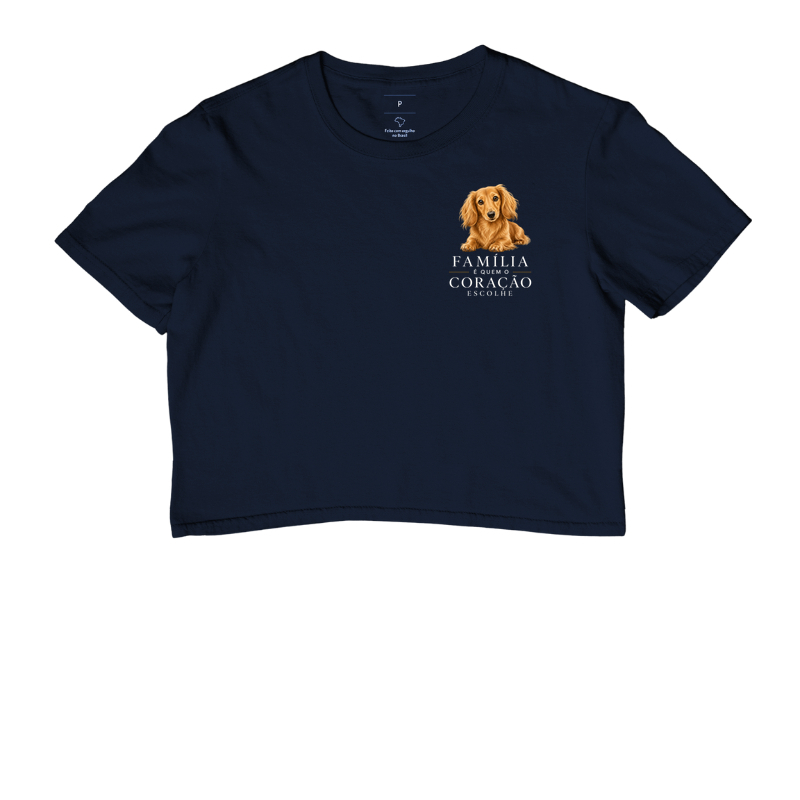 Dachshund Pelo Longo - Família - Imagem 4