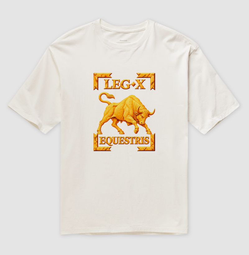 LEGIO — X Equestris - III - Imagem 4